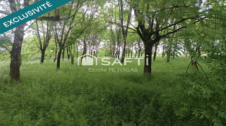 Ma-Cabane - Vente Terrain Fontenay-le-Comte, 7032 m²