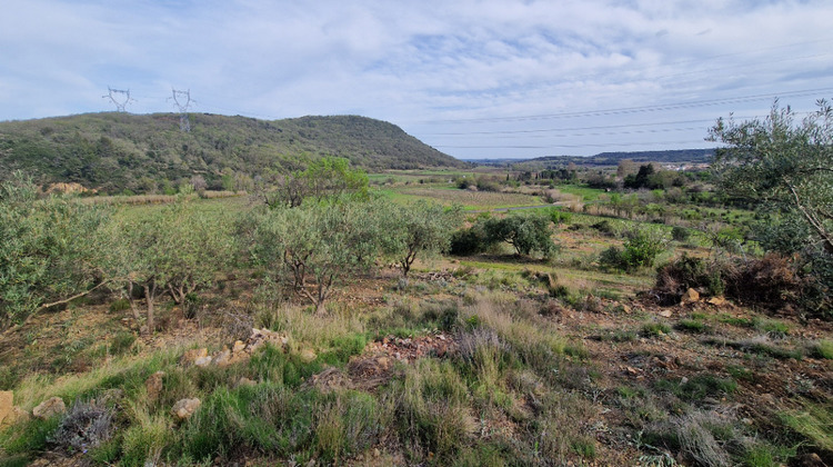 Ma-Cabane - Vente Terrain FONTES, 0 m²