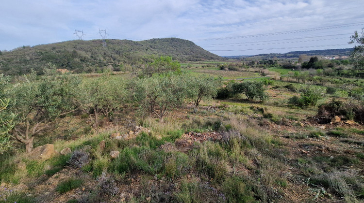 Ma-Cabane - Vente Terrain FONTES, 0 m²