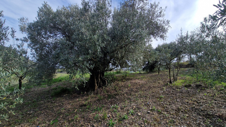 Ma-Cabane - Vente Terrain FONTES, 0 m²