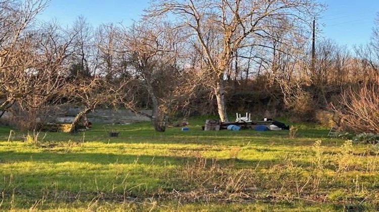 Ma-Cabane - Vente Terrain Fontevraud-l'Abbaye, 1336 m²