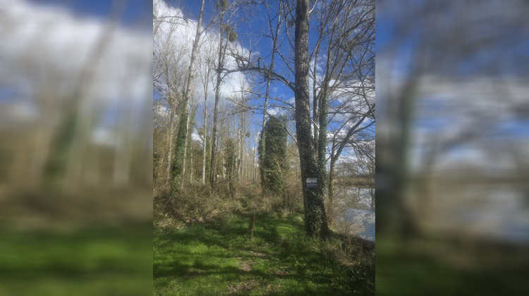 Ma-Cabane - Vente Terrain FONTGOMBAULT, 4710 m²