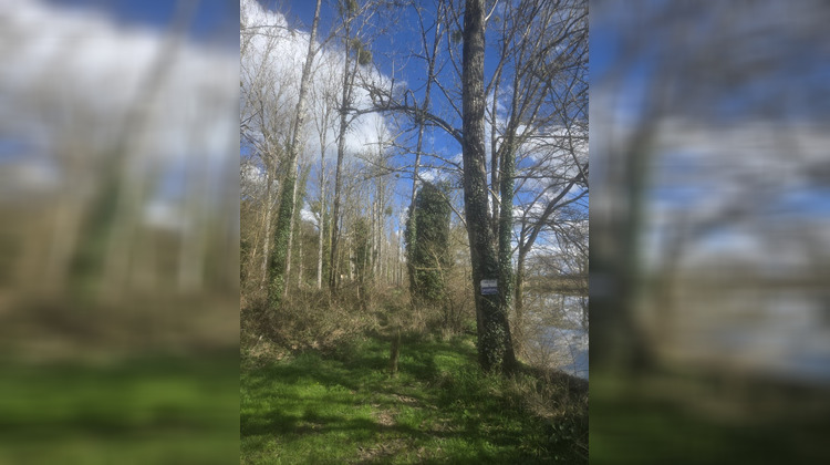 Ma-Cabane - Vente Terrain FONTGOMBAULT, 4710 m²