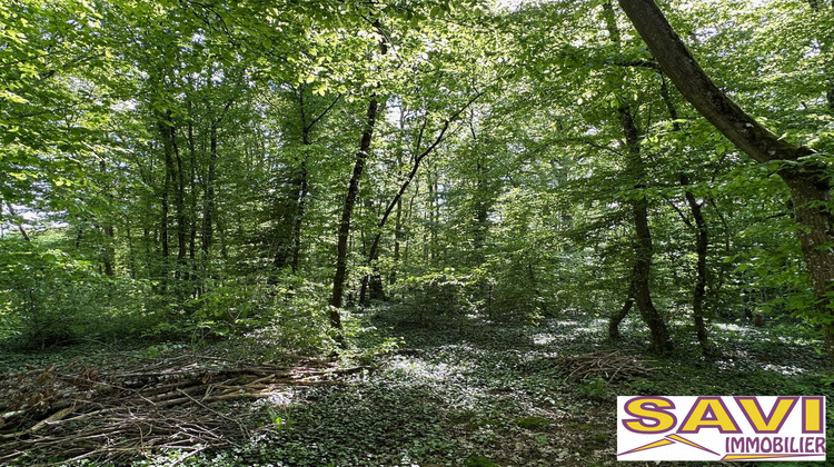 Ma-Cabane - Vente Terrain Foucherolles, 2578 m²