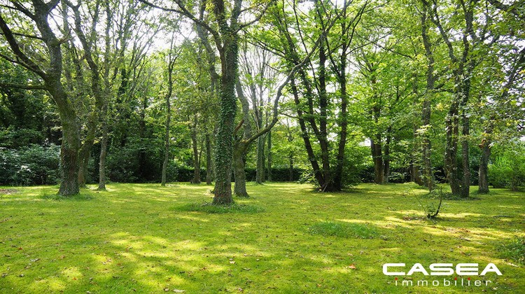 Ma-Cabane - Vente Terrain Fouesnant, 7694 m²