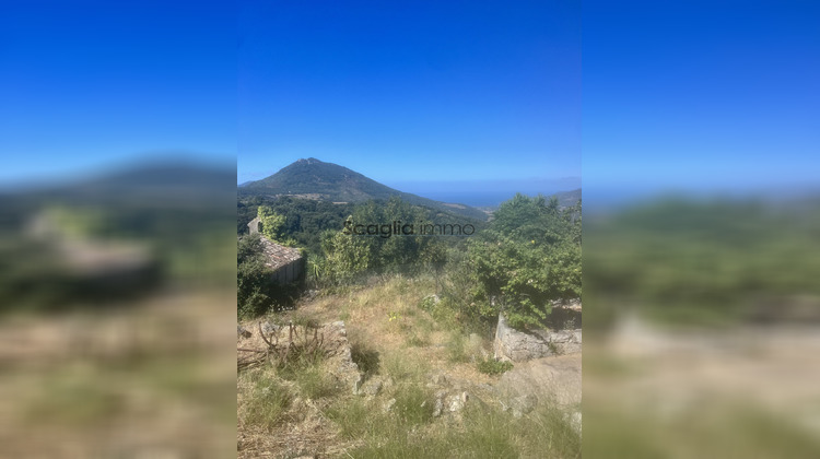 Ma-Cabane - Vente Terrain Fozzano, 305 m²