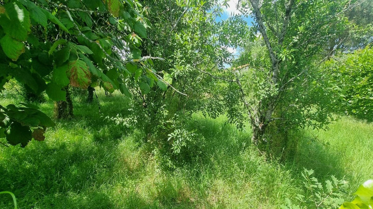 Ma-Cabane - Vente Terrain François, 515 m²