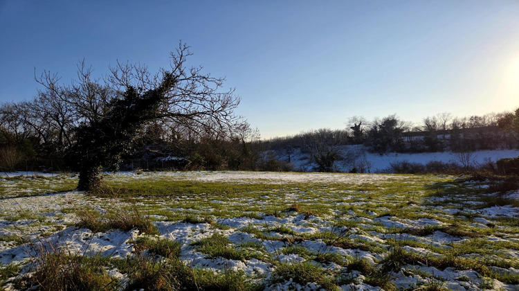 Ma-Cabane - Vente Terrain Francois, 1000 m²