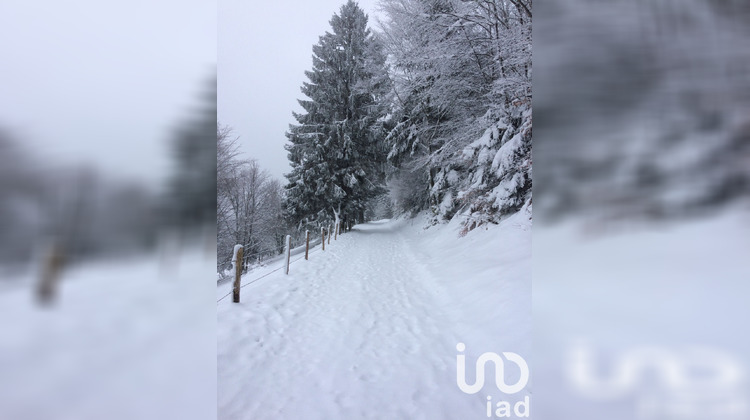 Ma-Cabane - Vente Terrain Fresse-sur-Moselle, 2477 m²