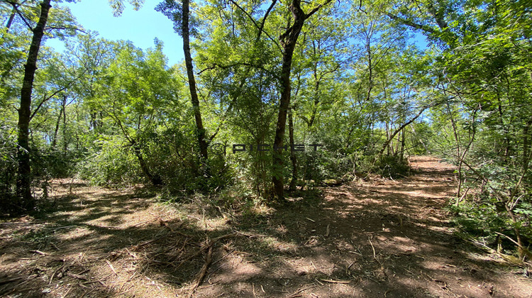 Ma-Cabane - Vente Terrain FRONSAC, 33210 m²