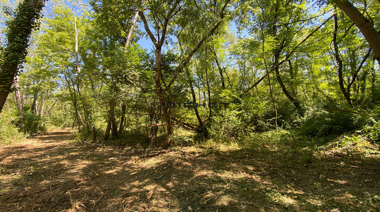 Ma-Cabane - Vente Terrain FRONSAC, 33210 m²