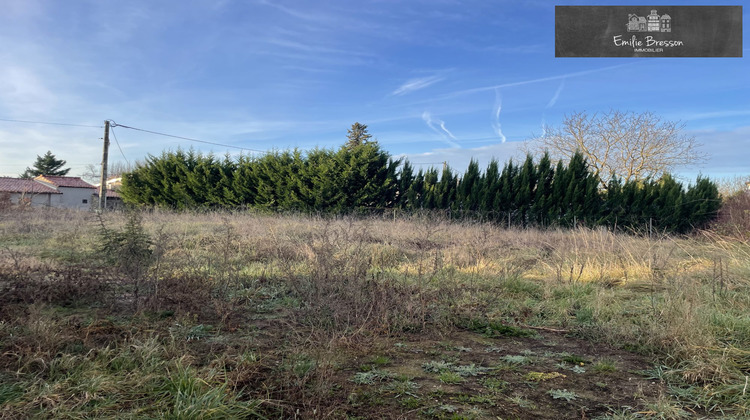 Ma-Cabane - Vente Terrain Gaillac, 563 m²