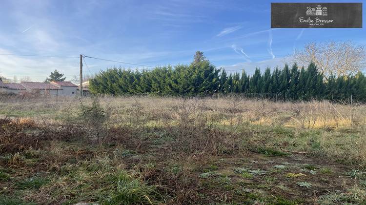 Ma-Cabane - Vente Terrain Gaillac, 563 m²