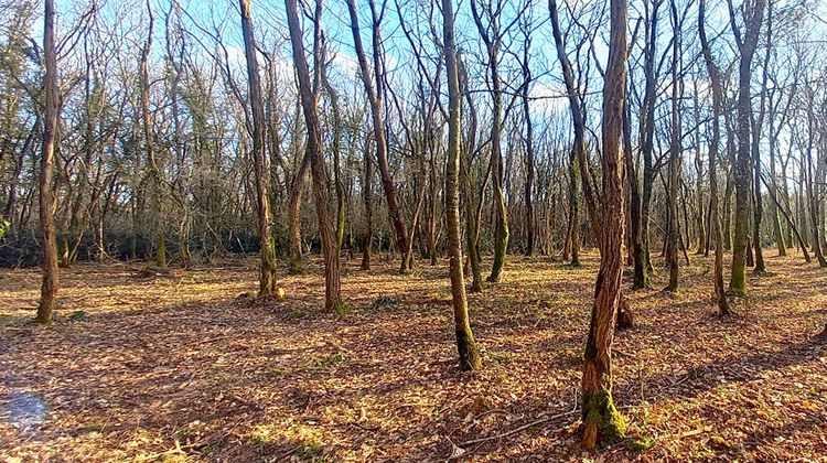 Ma-Cabane - Vente Terrain GAILLAN-EN-MEDOC, 2300 m²