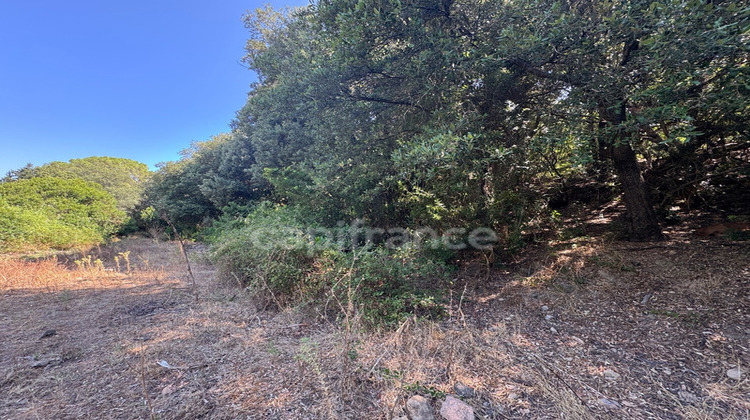 Ma-Cabane - Vente Terrain GALERIA, 3380 m²