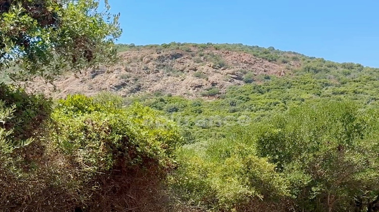 Ma-Cabane - Vente Terrain GALERIA, 3380 m²