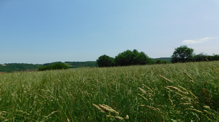 Ma-Cabane - Vente Terrain Gaujan, 4600 m²