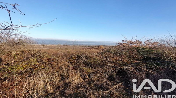 Ma-Cabane - Vente Terrain Générac, 3865 m²