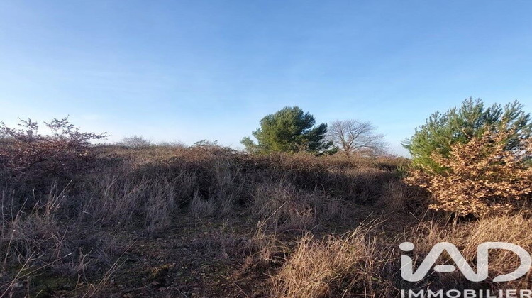 Ma-Cabane - Vente Terrain Générac, 3865 m²