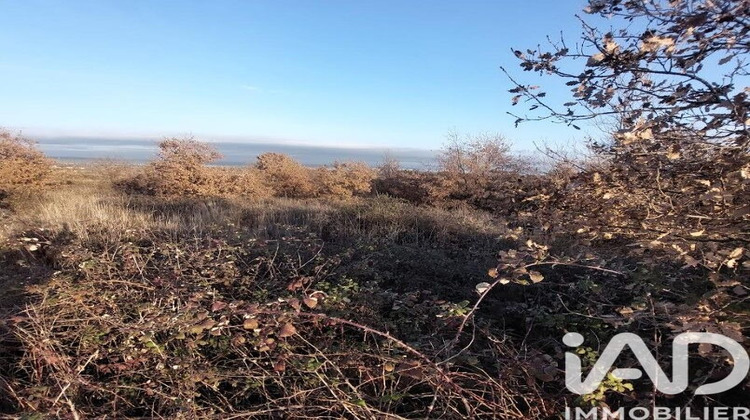 Ma-Cabane - Vente Terrain Générac, 3865 m²