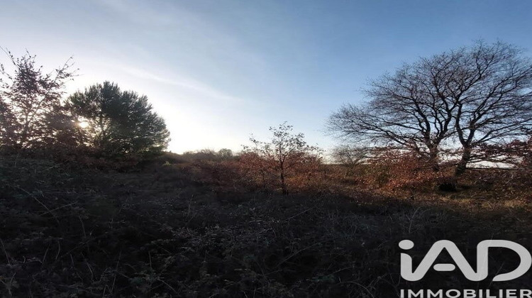 Ma-Cabane - Vente Terrain Générac, 3865 m²
