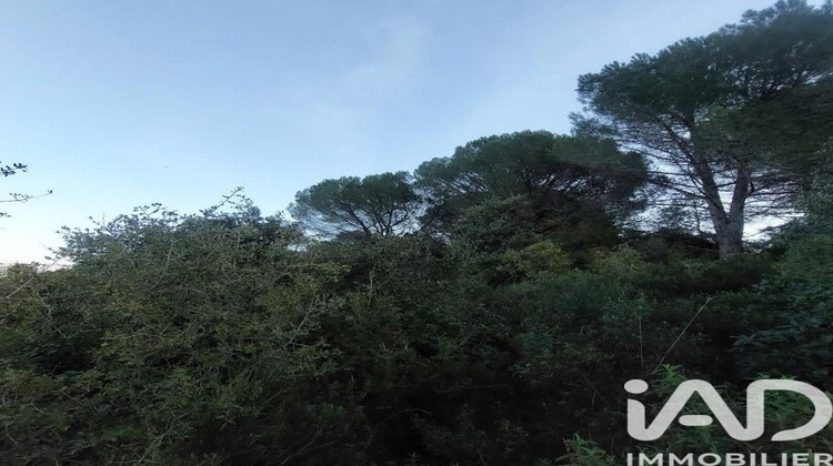 Ma-Cabane - Vente Terrain Générac, 4965 m²