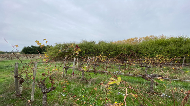 Ma-Cabane - Vente Terrain GENISSAC, 2615 m²