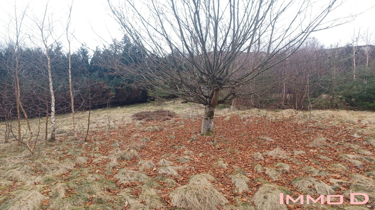 Ma-Cabane - Vente Terrain Gérardmer, 867 m²