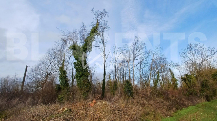 Ma-Cabane - Vente Terrain Germigny-l'Évêque, 3734 m²