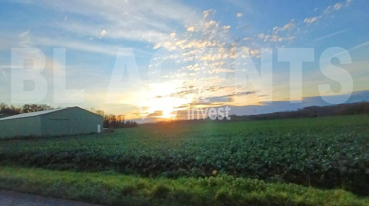 Ma-Cabane - Vente Terrain Germigny-l'Évêque, 2454 m²