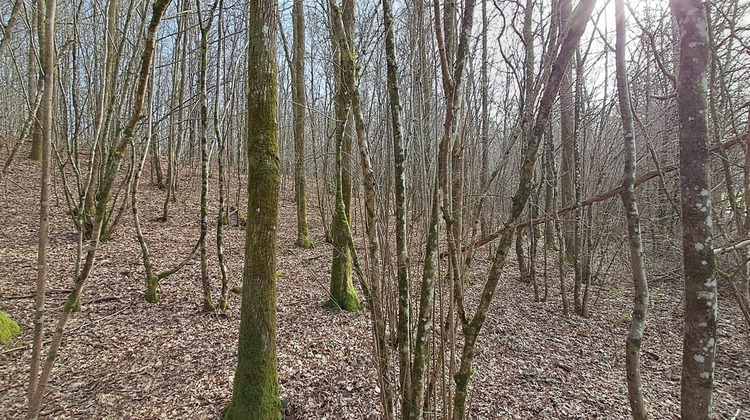 Ma-Cabane - Vente Terrain Gernelle, 1477 m²