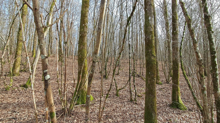 Ma-Cabane - Vente Terrain Gernelle, 1477 m²