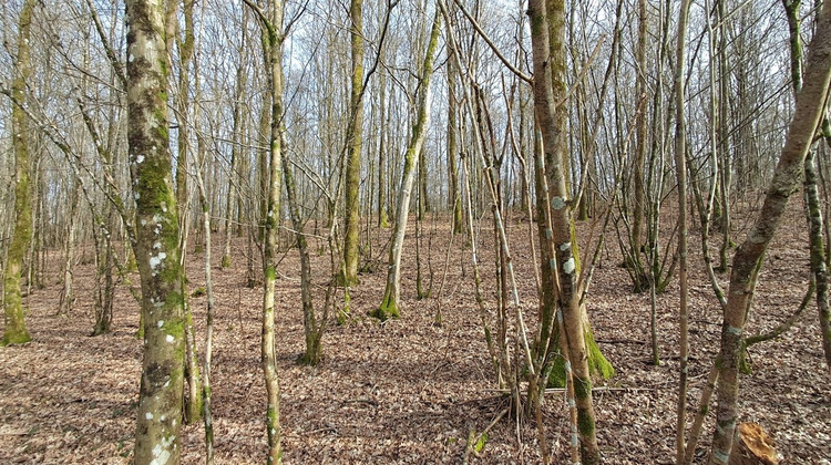 Ma-Cabane - Vente Terrain Gernelle, 1477 m²