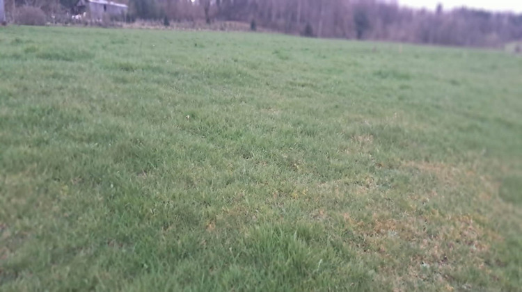 Ma-Cabane - Vente Terrain Gernelle, 981 m²