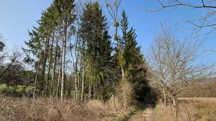 Ma-Cabane - Vente Terrain Gernelle, 2455 m²