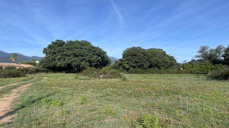 Ma-Cabane - Vente Terrain GHISONACCIA, 900 m²