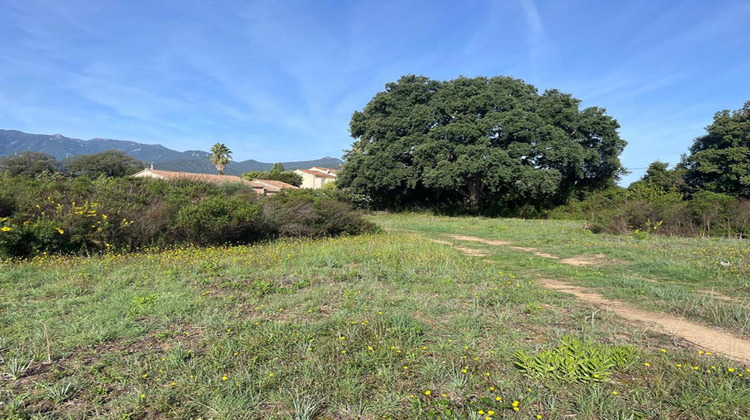 Ma-Cabane - Vente Terrain GHISONACCIA, 900 m²