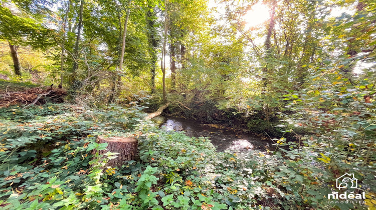 Ma-Cabane - Vente Terrain Ghissignies, 6648 m²