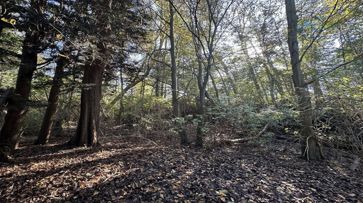 Ma-Cabane - Vente Terrain Ghyvelde, 2577 m²