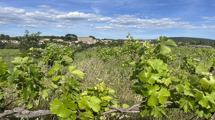 Ma-Cabane - Vente Terrain Gignac, 6590 m²