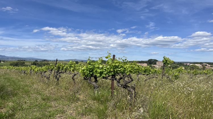 Ma-Cabane - Vente Terrain Gignac, 6590 m²