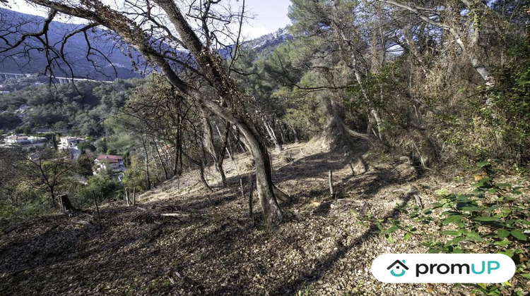 Ma-Cabane - Vente Terrain GORBIO, 2048 m²