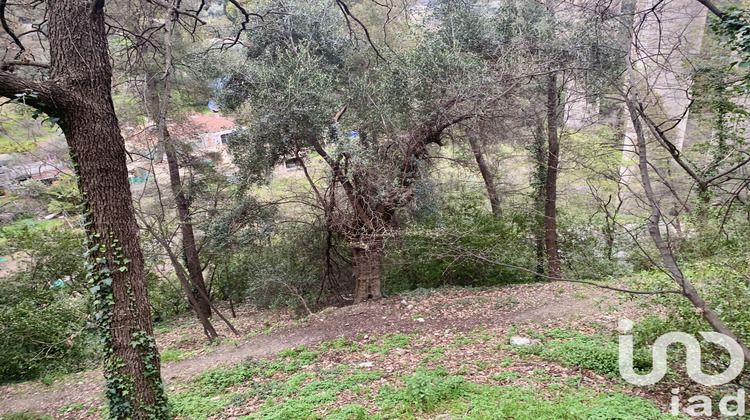 Ma-Cabane - Vente Terrain Gorbio, 1000 m²