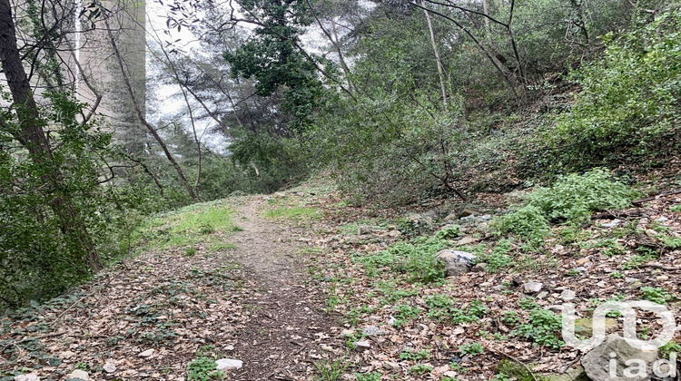 Ma-Cabane - Vente Terrain Gorbio, 1000 m²