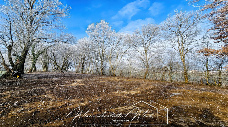 Ma-Cabane - Vente Terrain GORREVOD, 1895 m²
