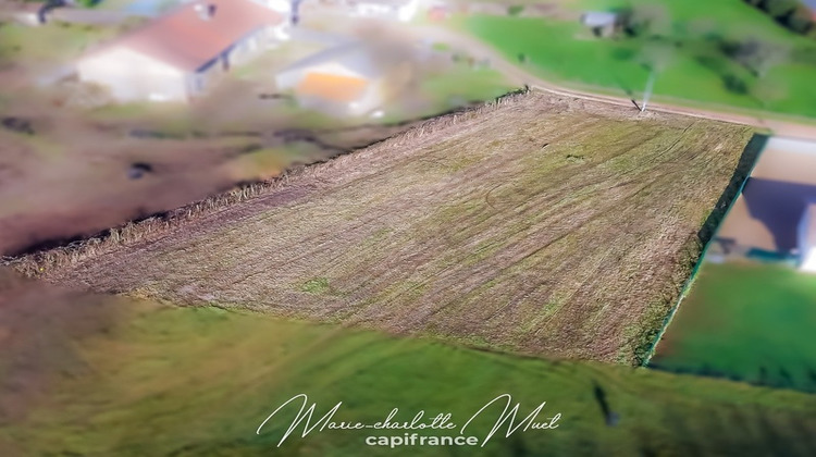 Ma-Cabane - Vente Terrain GORREVOD, 1513 m²