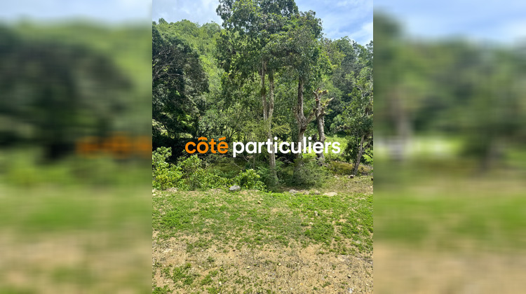 Ma-Cabane - Vente Terrain GOSIER, 1000 m²