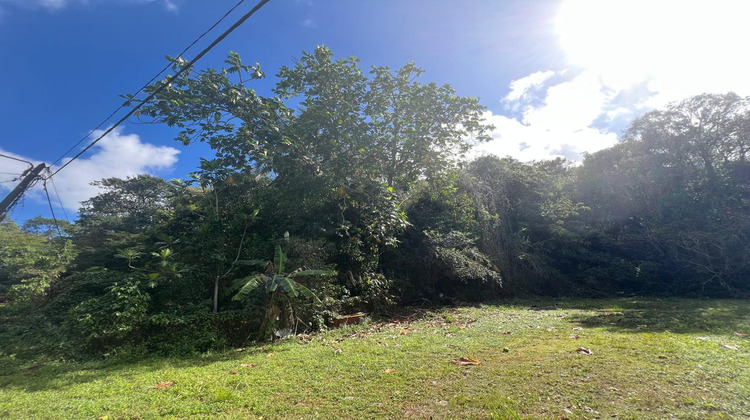 Ma-Cabane - Vente Terrain Gosier, 3450 m²