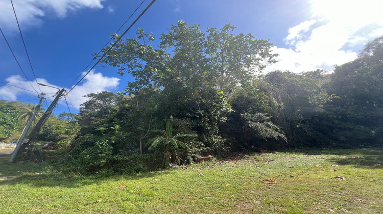 Ma-Cabane - Vente Terrain Gosier, 3450 m²