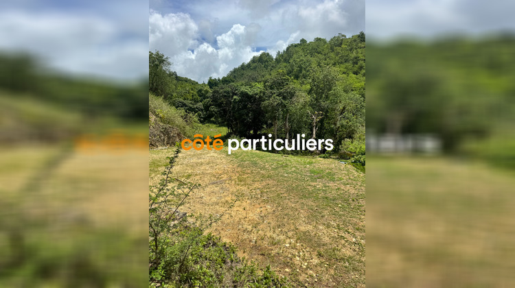 Ma-Cabane - Vente Terrain GOSIER, 1000 m²